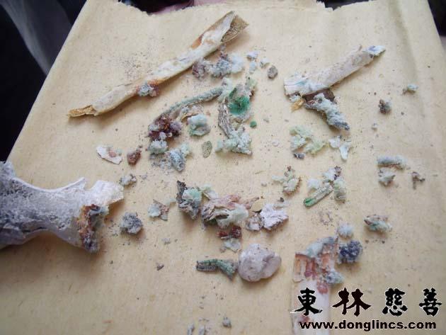 荼毗后留下舍利花