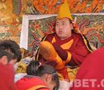 藏历新年迎新许愿 “色拉崩钦”近5万信众朝佛