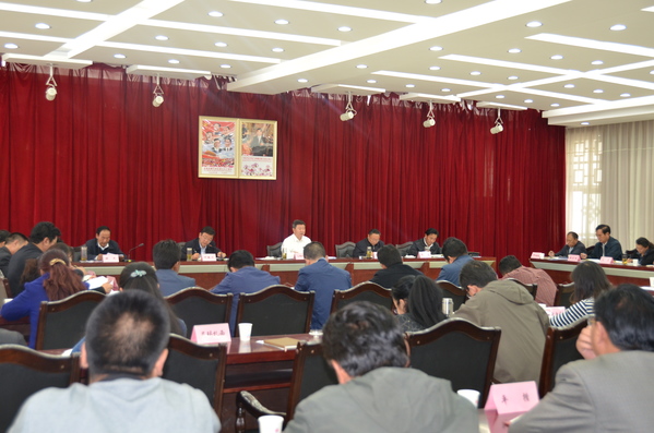 西藏统战、民族宗教系统传达学习全国宗教工作会议精神