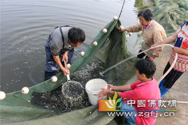 靖江西来寺联合靖江市渔政监督大队举行长江水生生物增殖放流活动