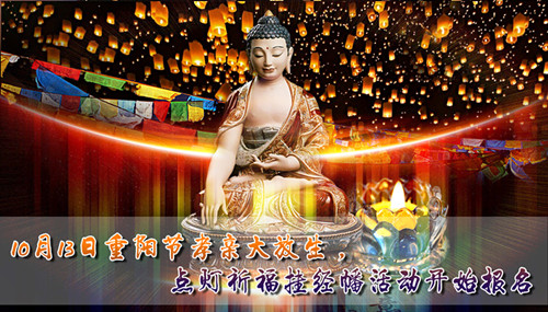 重阳节孝亲大放生 点灯祈福挂经幡活动开始报名