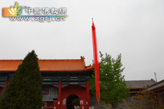 悬幡.jpg