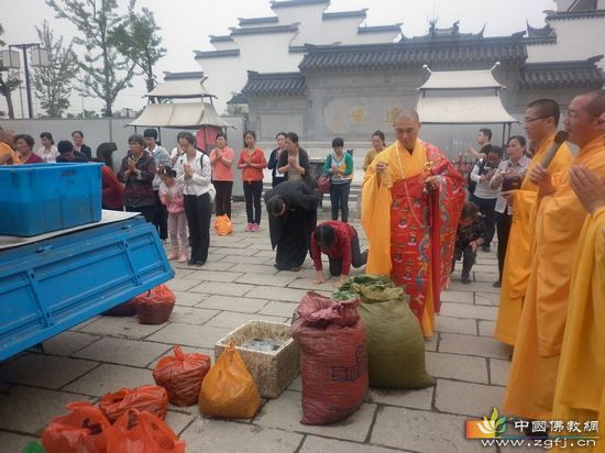计华法师主法并为生灵念经诵法