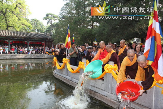 北京灵光寺隆重举行2013年晒经大法会.jpg