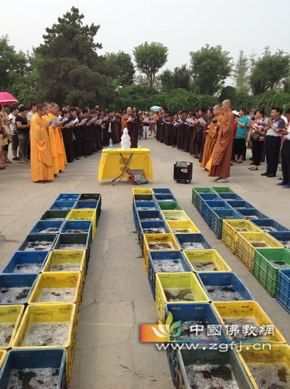 中国佛教网第四十九次放生法会在天津圆满举行