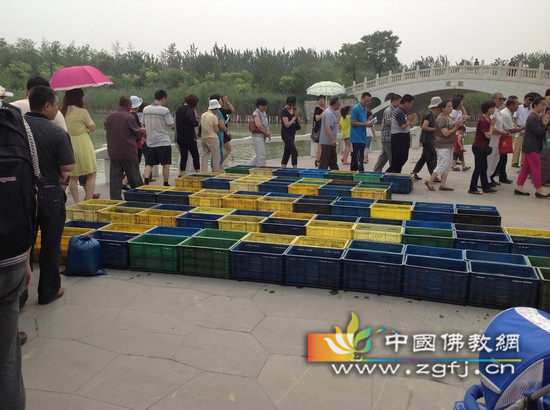 为水族生灵洒净
