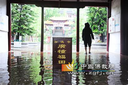 水漫四川遂宁广德寺 鱼儿游进金刚殿.jpg