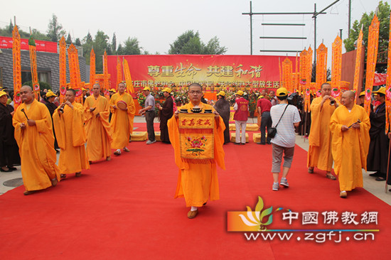 迎请法师