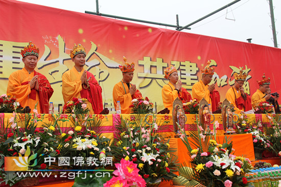 为放生生灵皈依佛法僧三宝