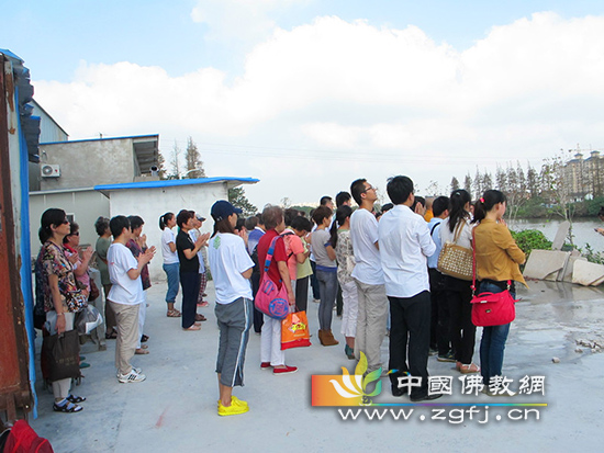 师父和居士为它们祈福
