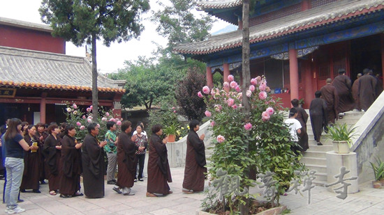 现场信众 法喜充满