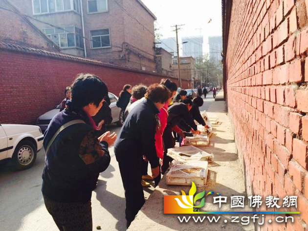 放归鸟儿到大自然