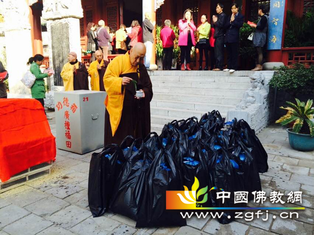 崇善寺住持宏法老和尚主法