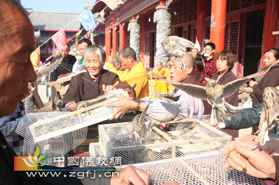 泊莲禅寺第十届水陆