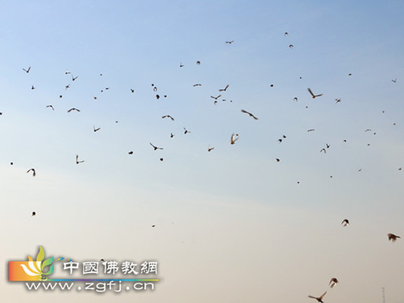 IMG_3083_副本.jpg