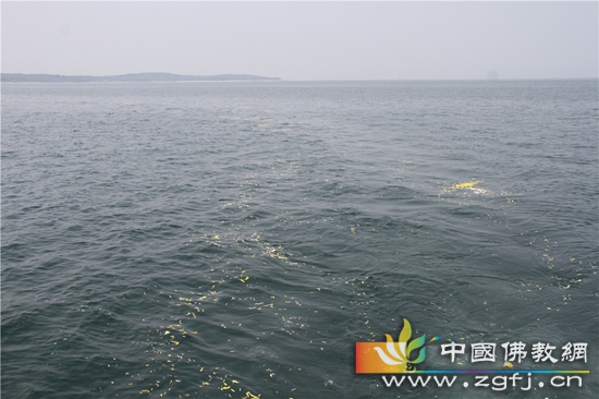 07 奔腾不息的浪花会把长老波澜壮阔、弘法利生的一生及悲愿汇入浩瀚的大海.jpg