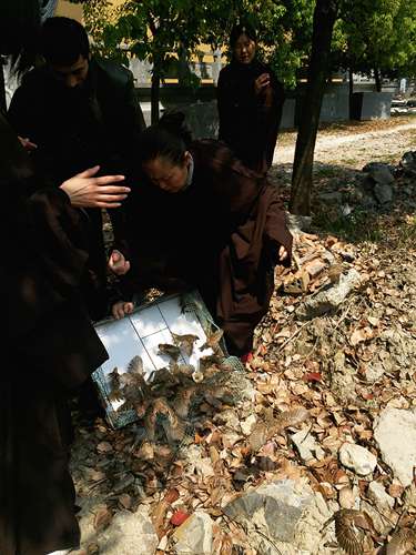 仲济禅寺精进念佛祈福法会圆满