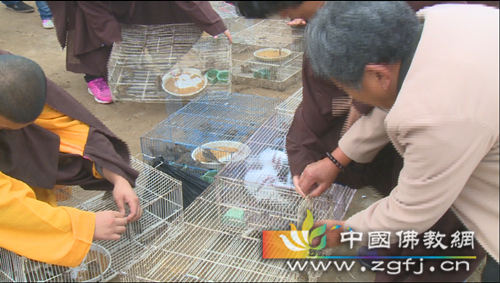 QQ图片20161021105341_副本.jpg