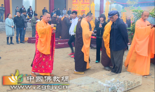 QQ图片20161021104651_副本.jpg
