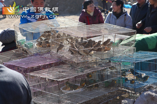照片 015.jpg