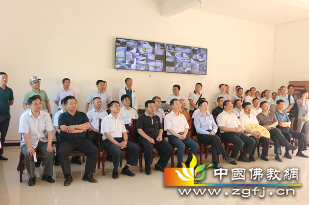 调研组一行考察调研周覃镇生态鸽养殖总基地建设及运营情况