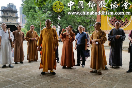 参访广化寺