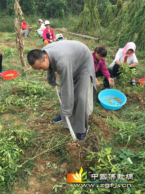 ,正德法师坚守祖师规矩,每有劳作,必一马当先