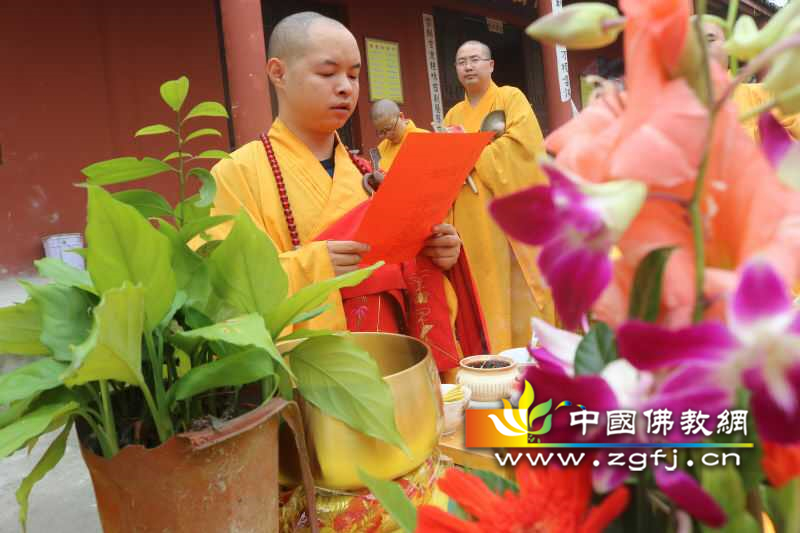 普悟法师主法