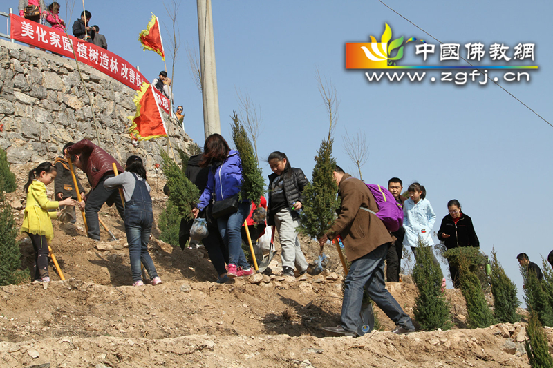 河北井陉灵岩寺植树节倡导为山区增绿“美化家园,植树造林”活动.jpg