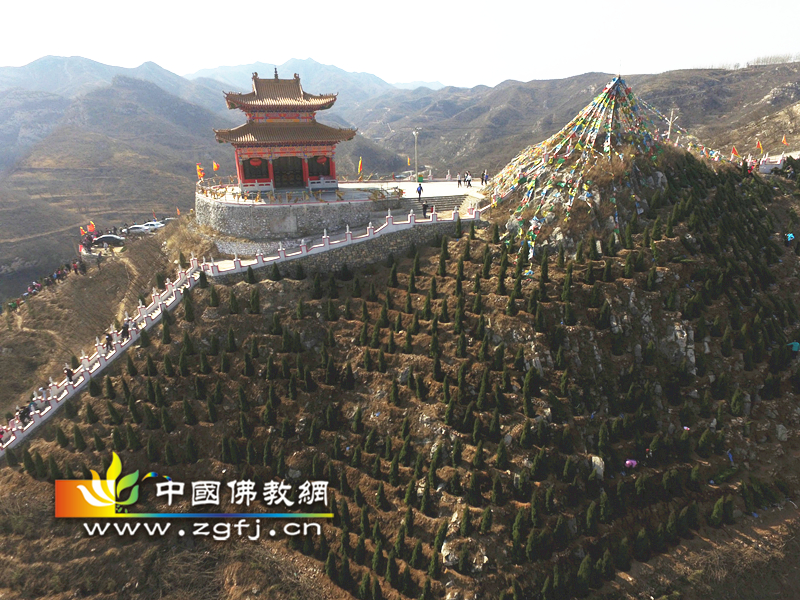 河北井陉灵岩寺植树节倡导为山区增绿“美化家园,植树造林”活动.jpg
