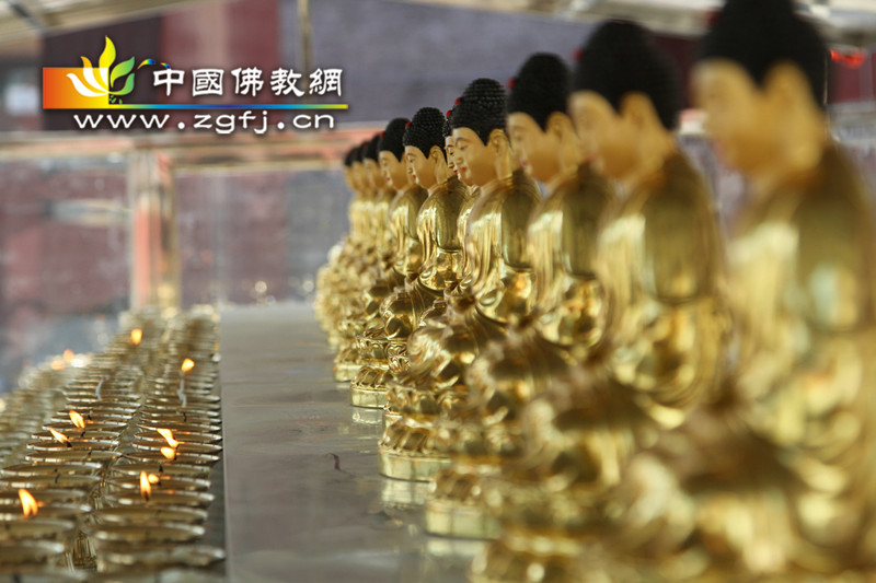 河北井陉灵岩寺举行“二月二龙抬头金龙送祥瑞供灯法会”.jpg