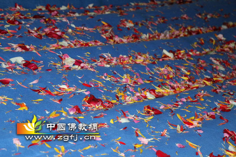 丁酉年河北井陉灵岩禅寺水陆法会第四天·请供上堂.jpg