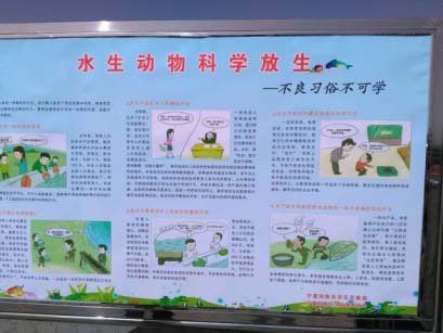 活动现场展板.jpg