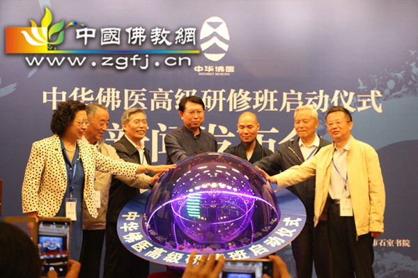 11参会嘉宾同按启动球.JPG