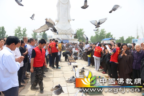 7 放飞的是生命,传承的是慈悲,愿我们的父母健康长寿,得生净土.JPG