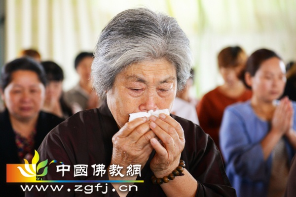 4 想起自己的慈母,想起慈悲的佛陀,不禁流泪.jpg