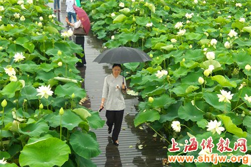 上海大方禅院“静心之旅”一日禅活动圆满1.jpg