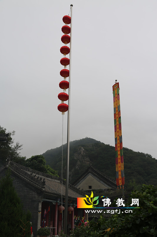 OV0A2943_副本_副本.jpg